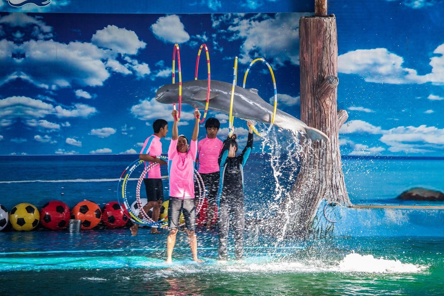Pattaya Dolphinarium