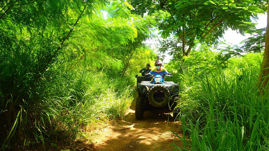 การผจญภัย ATV (ATV & Buggy)