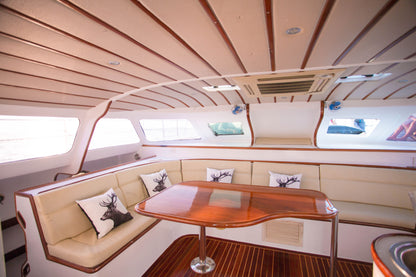 42-foot motor catamaran MC042